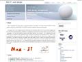 MAX IT web design