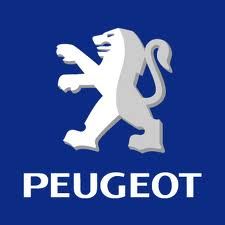 Vand elemente caroserie Peugeot