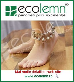 Ecolemn – parchet prin excelenta