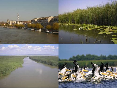 Cazare Sulina