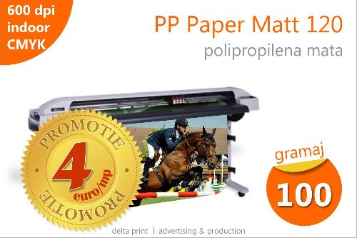 Print indoor pe polipropilena mata (PP Paper Matt 120) BS-120MN