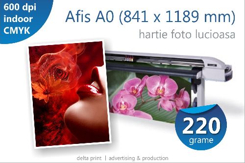Afis A0 – 28 lei, print indoor pe hartie fotografica lucioasa (220 grame/mp)