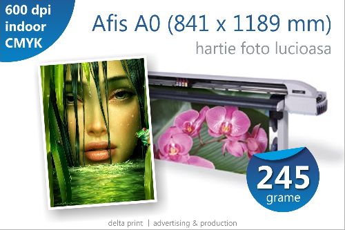 Afis A0 – 29 lei, print indoor pe hartie fotografica lucioasa (245 grame/mp)