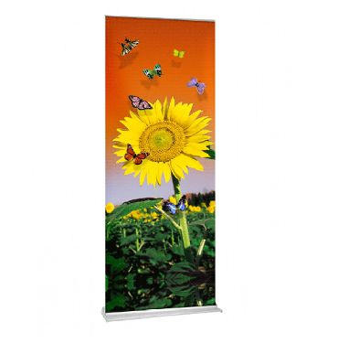 Rollup 60 x 160 cm 170 lei Inclusiv Personalizarea BUSINESS