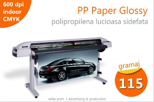 Print pe polipropilena lucioasa sidefata (PP Paper Glossy) BS-170GN