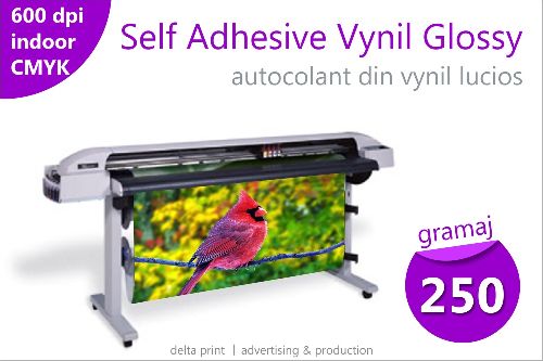 Print pe autocolant de vynil lucios (Self Adhesive Vynil Glossy) PVC-WZL
