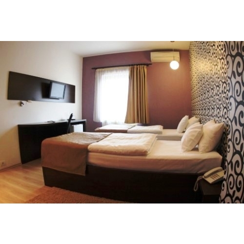 Hotel Ramina Timisoara cazare