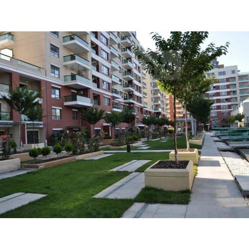 Apartament de inchiriat - Imobiliare Bucuresti