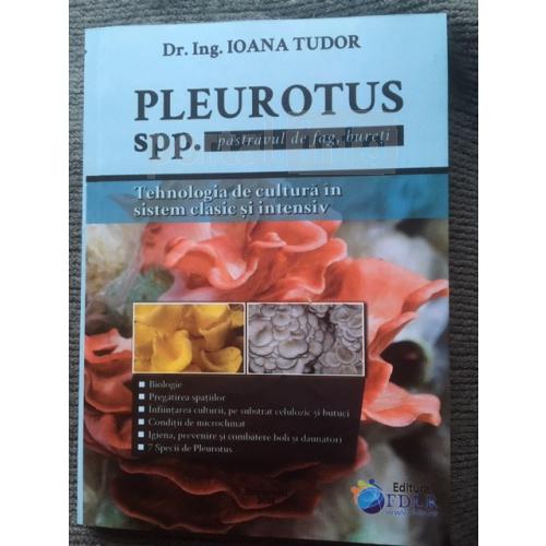 Pastrav de fag, Pleurotus, tehnologie