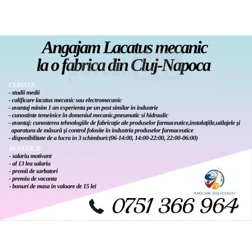 Lacatus mecanic