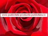 Publicitate,  reclame, promovare imagine firma, videoclipuri, spoturi, productie publicitara, filmul