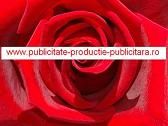 www.publicitate-productie-publicitara.ro