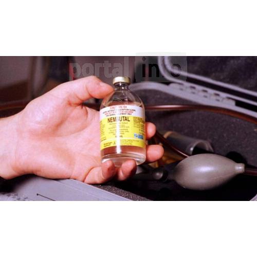 BUY NEMBUTAL ONLINE ,BUY PENTOBARBITAL SODIUM, BUY INJECTABLE NEMBUTAL,BUY NEMBUTAL ONLINE