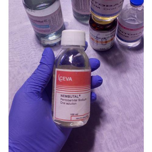 BUY NEMBUTAL ONLINE ,BUY PENTOBARBITAL SODIUM, BUY INJECTABLE NEMBUTAL,BUY NEMBUTAL ONLINE