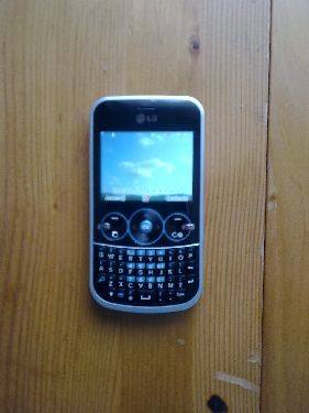 lg gw300