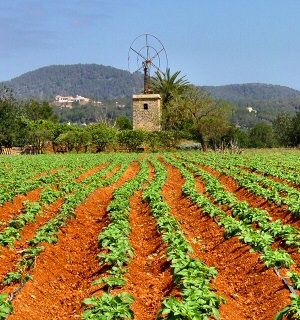 Elaborarea  proiecte  finantate din fonduri europene