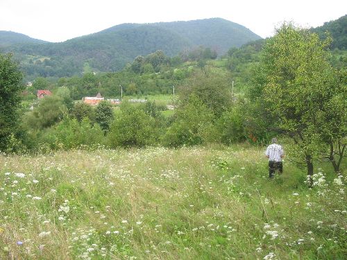 Teren de vanzare - Imobiliare Baia Mare