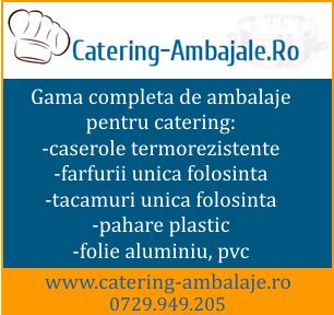  Ambalaje, caserole si produse de unica folosinta pentru catering 